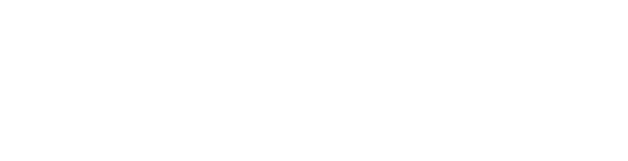 VeDex Service Group — Zuverlässig. Sauber. Professionell.